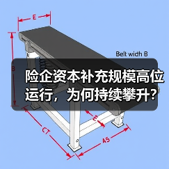 险企资本补充规模高位运行，为何持续攀升？（图1）