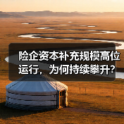 险企资本补充规模高位运行，为何持续攀升？（图4）