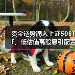 资金逆势涌入上证50ETF，低估值高股息引配置热潮（图1）