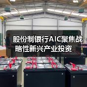 股份制银行AIC聚焦战略性新兴产业投资（图2）