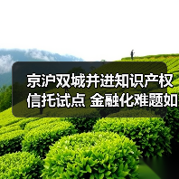 京沪双城并进知识产权信托试点 金融化难题如何破解?(图3) 京沪双城并进知识产权信托试点 金融化难题如何破解?(图3)