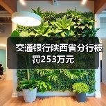 交通银行陕西省分行被罚253万元(图3) 交通银行陕西省分行被罚253万元(图3)