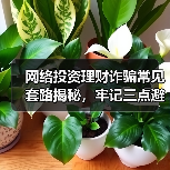 网络投资理财诈骗常见套路揭秘，牢记三点避免财产损失（图1）