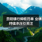 贵阳银行频收罚单 业绩持续承压引关注(图4) 贵阳银行频收罚单 业绩持续承压引关注(图4)