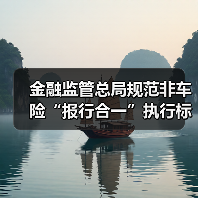 金融监管总局规范非车险“报行合一”执行标准（图4）