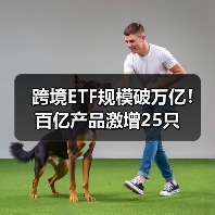 跨境ETF规模破万亿!百亿产品激增25只(图2) 跨境ETF规模破万亿!百亿产品激增25只(图2)