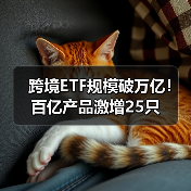 跨境ETF规模破万亿!百亿产品激增25只(图4) 跨境ETF规模破万亿!百亿产品激增25只(图4)