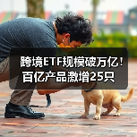 跨境ETF规模破万亿!百亿产品激增25只(图3) 跨境ETF规模破万亿!百亿产品激增25只(图3)