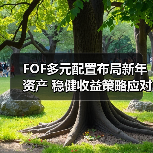 FOF多元配置布局新年资产 稳健收益策略应对市场波动(图4) FOF多元配置布局新年资产 稳健收益策略应对市场波动(图4)