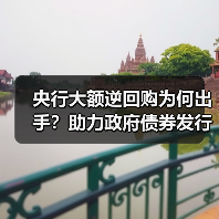 央行大额逆回购为何出手？助力政府债券发行流动性（图3）