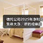 信托公司2025年净利润集体大涨,谁的成绩最亮眼?(图3) 信托公司2025年净利润集体大涨,谁的成绩最亮眼?(图3)