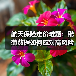 航天保险定价难题:稀薄数据如何应对高风险挑战?(图2) 航天保险定价难题:稀薄数据如何应对高风险挑战?(图2)