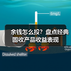 余钱怎么投？盘点经典固收产品收益表现（图1）