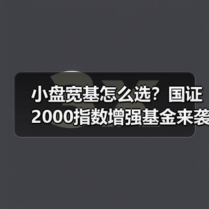 小盘宽基怎么选？国证2000指数增强基金来袭（图2）