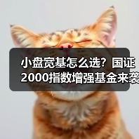 小盘宽基怎么选？国证2000指数增强基金来袭（图3）