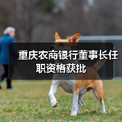 重庆农商银行董事长任职资格获批（图4）