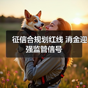 征信合规划红线 消金迎强监管信号（图4）