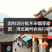 因利润分配不审慎等原因，河北冀州农商行被罚140万元（图2）