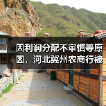 因利润分配不审慎等原因，河北冀州农商行被罚140万元（图3）