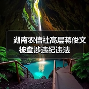 湖南农信社高层蒋俊文被查涉违纪违法（图3）