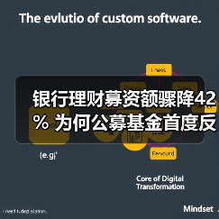 银行理财募资额骤降42% 为何公募基金首度反超存续规模？（图2）