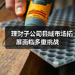 理财子公司县域市场拓展面临多重挑战(图4) 理财子公司县域市场拓展面临多重挑战(图4)