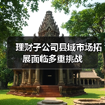 理财子公司县域市场拓展面临多重挑战(图3) 理财子公司县域市场拓展面临多重挑战(图3)