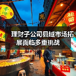 理财子公司县域市场拓展面临多重挑战(图2) 理财子公司县域市场拓展面临多重挑战(图2)
