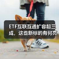 ETF互联互通扩容超三成，这些新标的有何亮点？（图1）