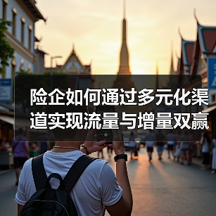 险企如何通过多元化渠道实现流量与增量双赢？（图4）