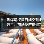 焦煤期权首日成交破4万手,市场反应稳健?(图2) 焦煤期权首日成交破4万手,市场反应稳健?(图2)