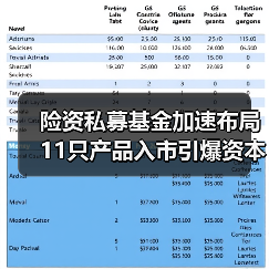 险资私募基金加速布局 11只产品入市引爆资本市场(图4) 险资私募基金加速布局 11只产品入市引爆资本市场(图4)