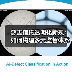 慈善信托透明化新规：如何构建多元监督体系提升行业规范？（图4）