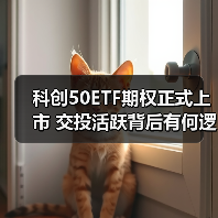 科创50ETF期权正式上市 交投活跃背后有何逻辑？（图3）