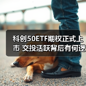 科创50ETF期权正式上市 交投活跃背后有何逻辑？（图4）