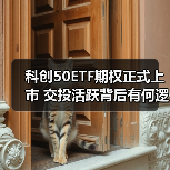 科创50ETF期权正式上市 交投活跃背后有何逻辑？（图1）