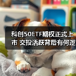 科创50ETF期权正式上市 交投活跃背后有何逻辑？（图2）