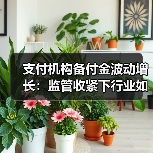 支付机构备付金波动增长:监管收紧下行业如何应对?(图4) 支付机构备付金波动增长:监管收紧下行业如何应对?(图4)