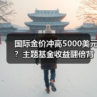 国际金价冲高5000美元？主题基金收益翻倍背后的真相（图2）
