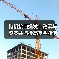 脑机接口爆发!政策与资本共振推高基金净值(图4) 脑机接口爆发!政策与资本共振推高基金净值(图4)
