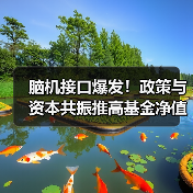 脑机接口爆发!政策与资本共振推高基金净值(图2) 脑机接口爆发!政策与资本共振推高基金净值(图2)