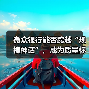 微众银行能否跨越“规模神话”,成为质量标杆?(图3) 微众银行能否跨越“规模神话”,成为质量标杆?(图3)