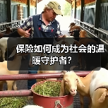 保险如何成为社会的温暖守护者?(图1) 保险如何成为社会的温暖守护者?(图1)