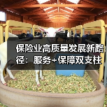 保险业高质量发展新路径:服务+保障双支柱如何构建?(图1) 保险业高质量发展新路径:服务+保障双支柱如何构建?(图1)