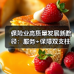 保险业高质量发展新路径:服务+保障双支柱如何构建?(图3) 保险业高质量发展新路径:服务+保障双支柱如何构建?(图3)