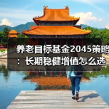 养老目标基金2045策略：长期稳健增值怎么选？（图4）