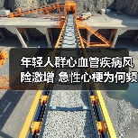 年轻人群心血管疾病风险激增 急性心梗为何频袭年轻人?(图3) 年轻人群心血管疾病风险激增 急性心梗为何频袭年轻人?(图3)
