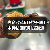 央企改革ETF拉升超1% 中特估回归引爆赛道（图4）