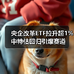 央企改革ETF拉升超1% 中特估回归引爆赛道（图3）
