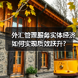 外汇管理服务实体经济如何实现质效跃升?(图3) 外汇管理服务实体经济如何实现质效跃升?(图3)